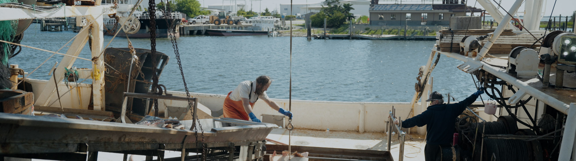 The Harbor, Still
